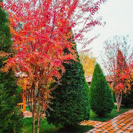 Hotel Grace Garden Kum Esterno foto